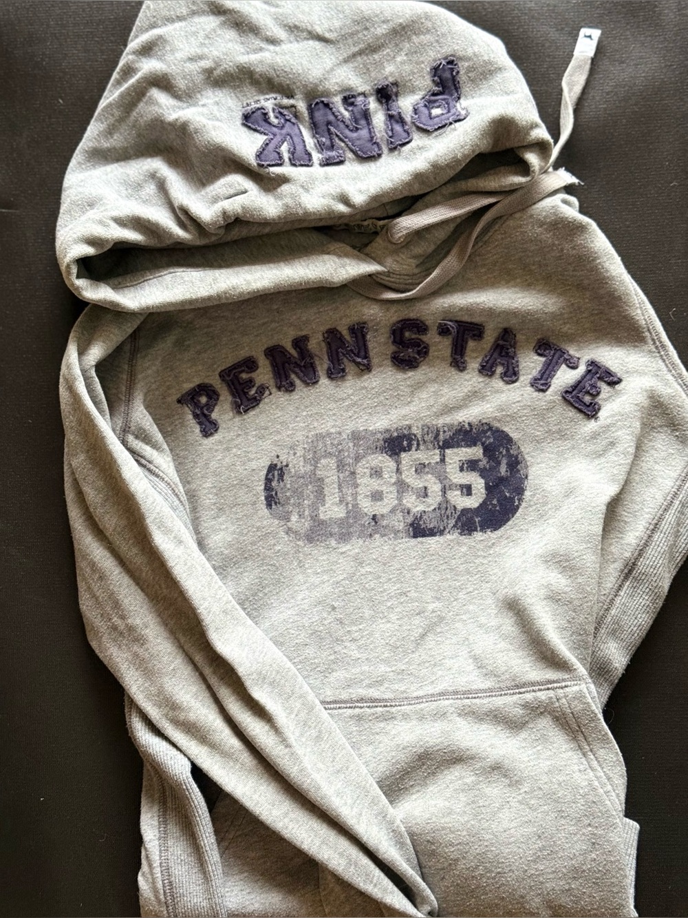 Penn State Hoodie